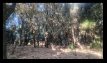 Corfu - Pantokratoras Vigla -25-06-2025 - Bogdan Balaban